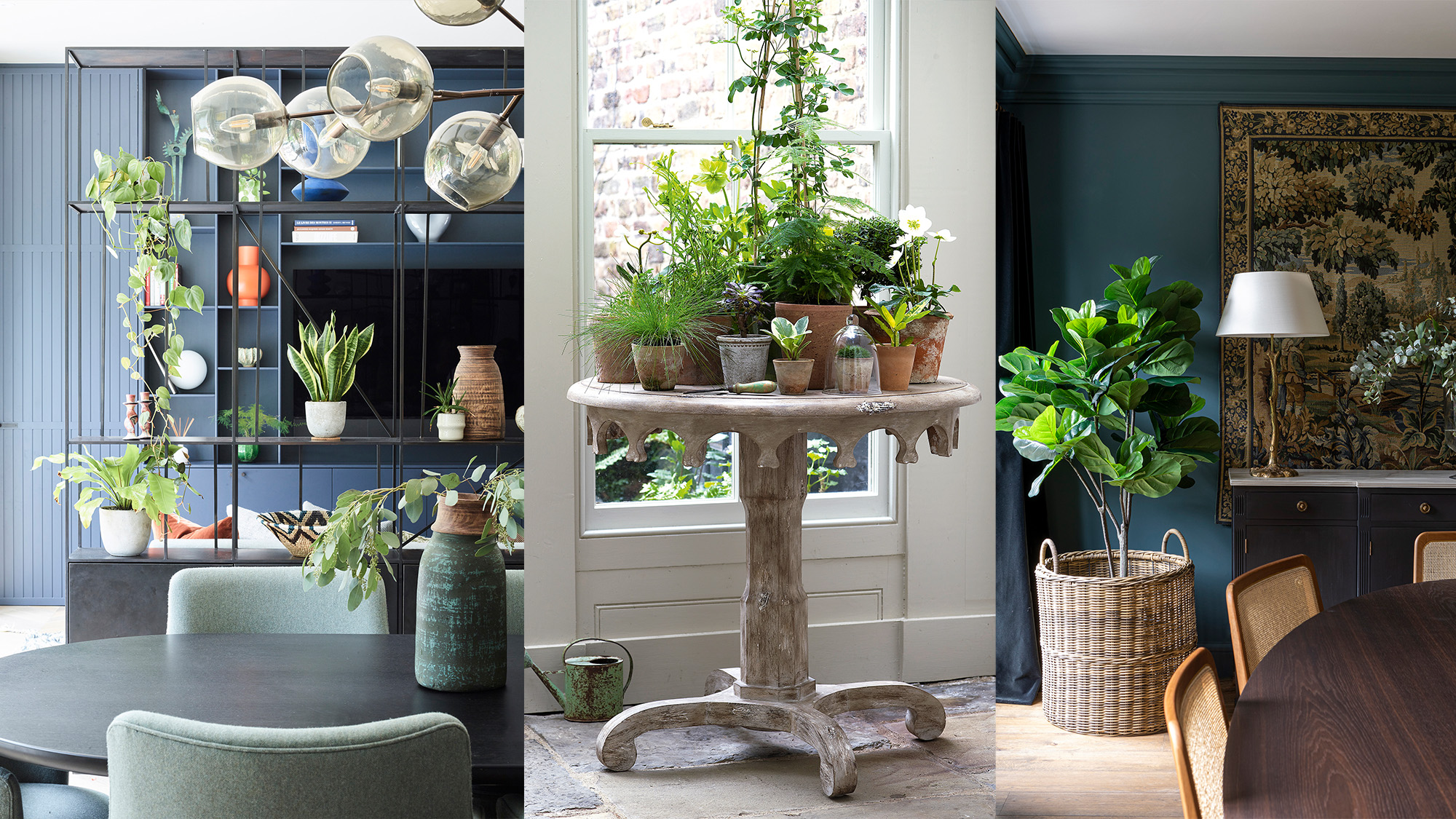 How to Incorporate Plants into Your Home Decor: Green Inspiration - Decorat