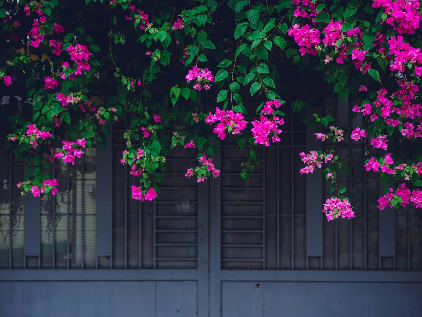 Spring Garden