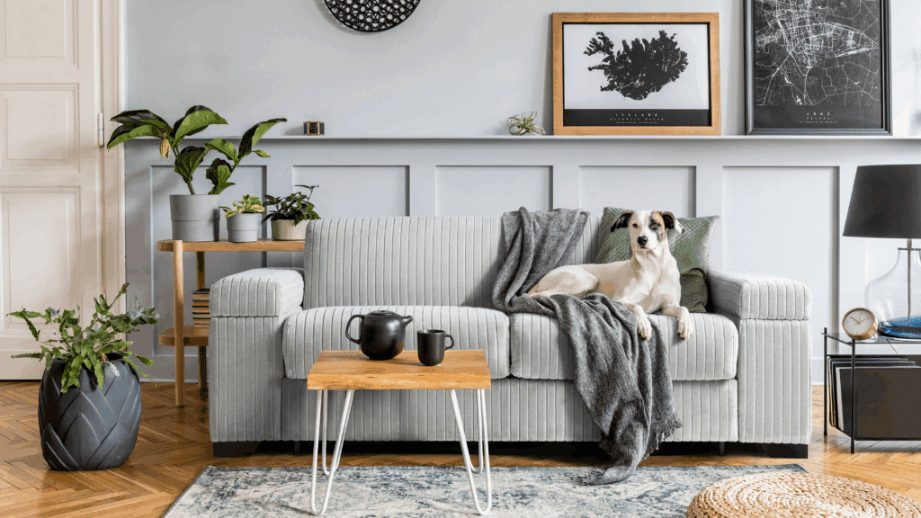 Winter Decor Ideas