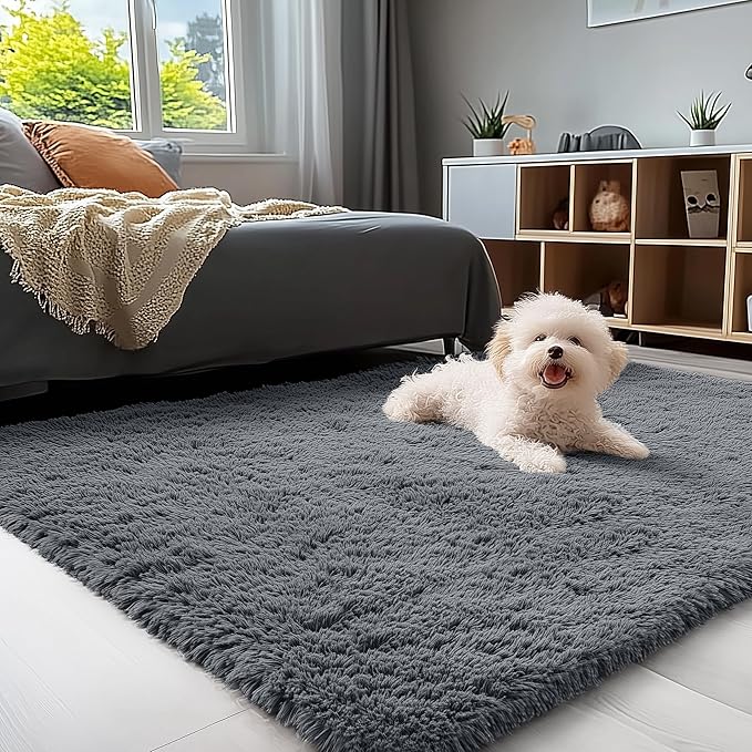 Area Rugs for Living Room Bedroom