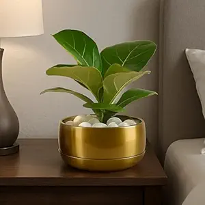 Metal Planter Pot for Indoor Plants