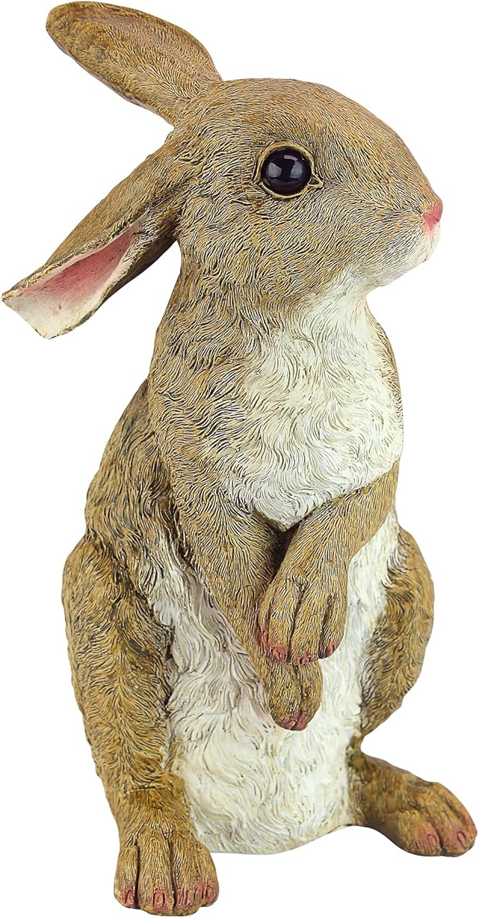  Bunny Standing Rabbit