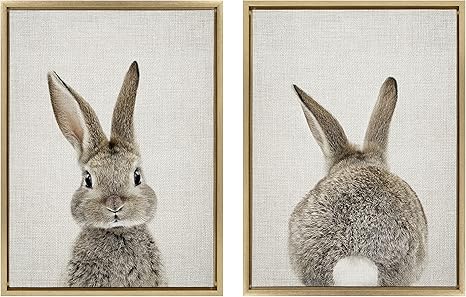 Bunny Canvas Wall Art