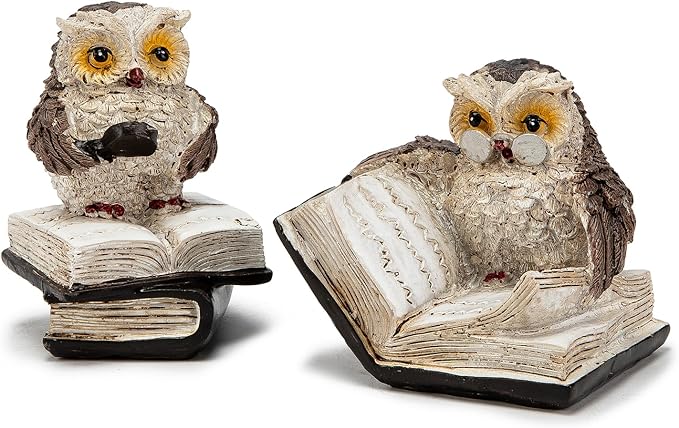 Adorable Reading Owl Statue