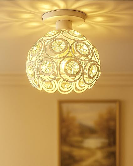 Mount Ceiling Light