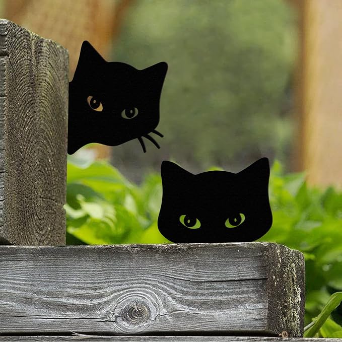 Black Cat Decorations