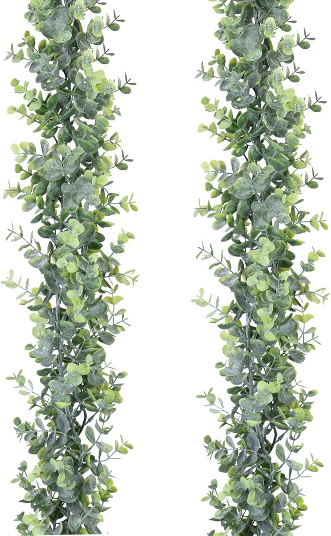 Hanging Eucalyptus Leaves 