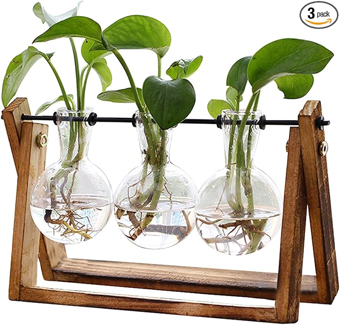 Planter Flower Glass Vase
