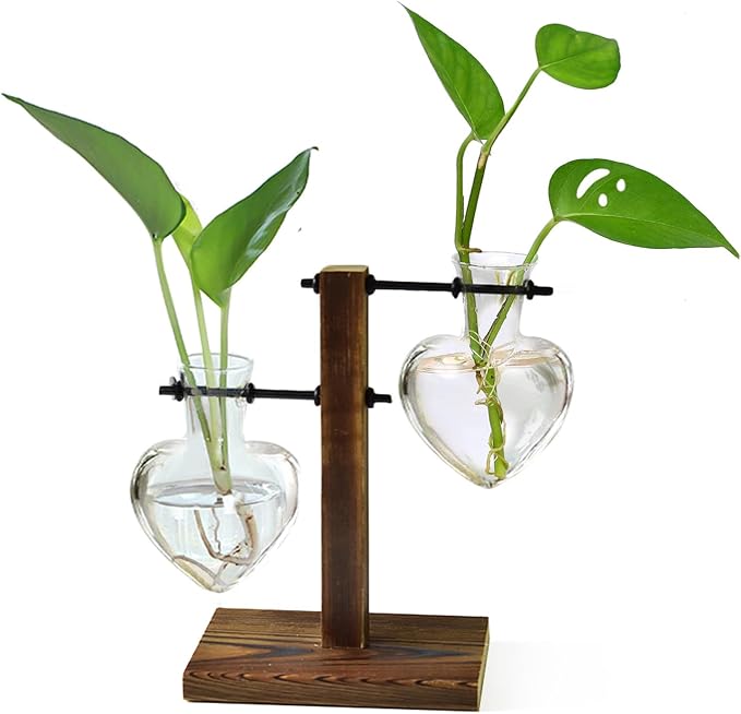 Plant Propagation Station