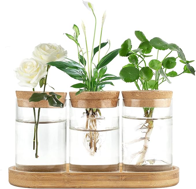 3 Pcs Glass Vases