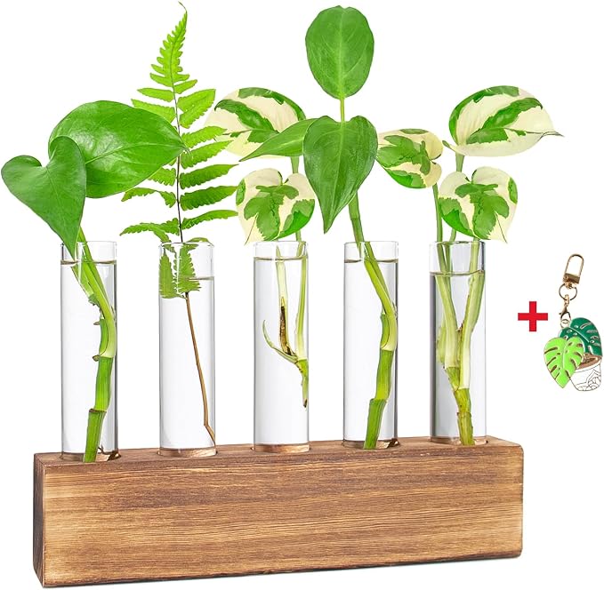 Gifts for Plant Lovers