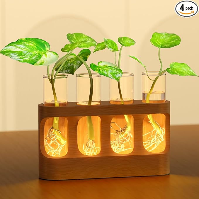 4 Glass Test Tubes for Hydroponic