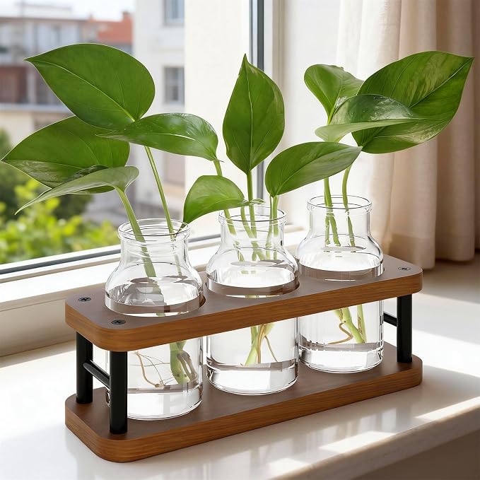 Glass Planters for Indoor