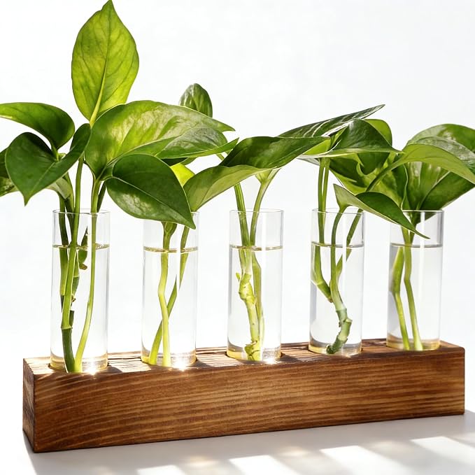 Terrarium with Wooden Stand