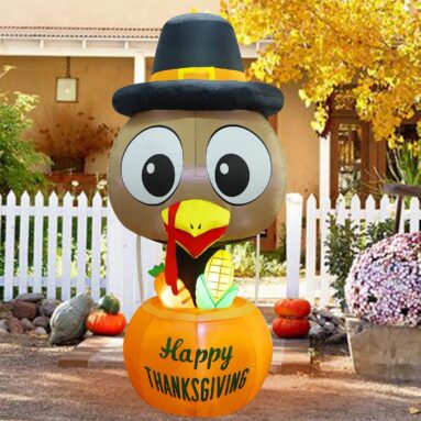 Inflatable Turkey Hot Air Balloon