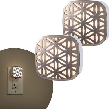 Brushed Nickel Flower Design Decorative LED Night Light