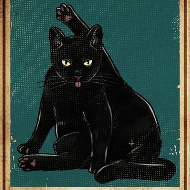 Remember to Wipe Funny Black Cat Poster